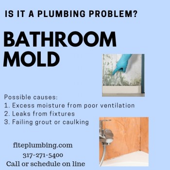 Fite Plumbing and Bathroom Mold