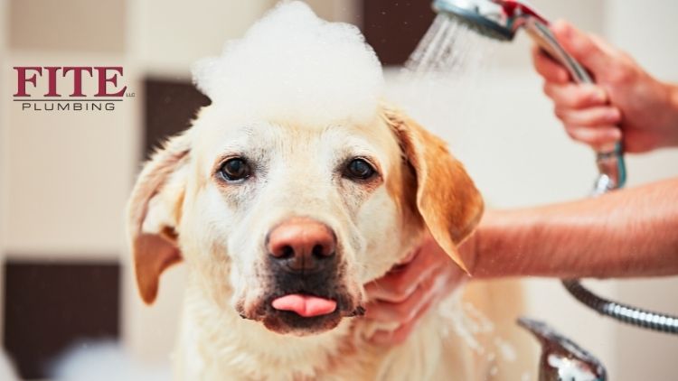 Make everyone happy by building a dog washing station at home.