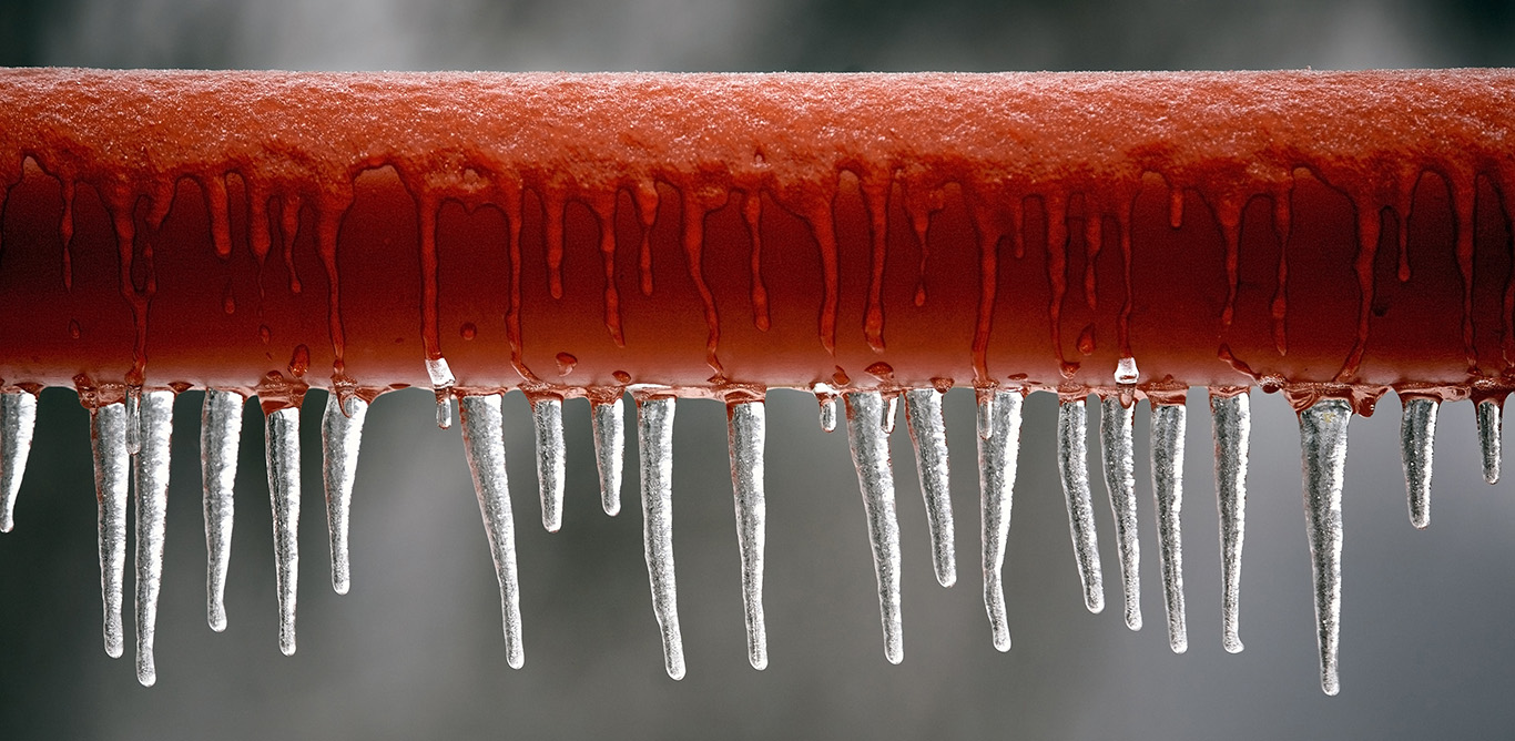 frozen bar