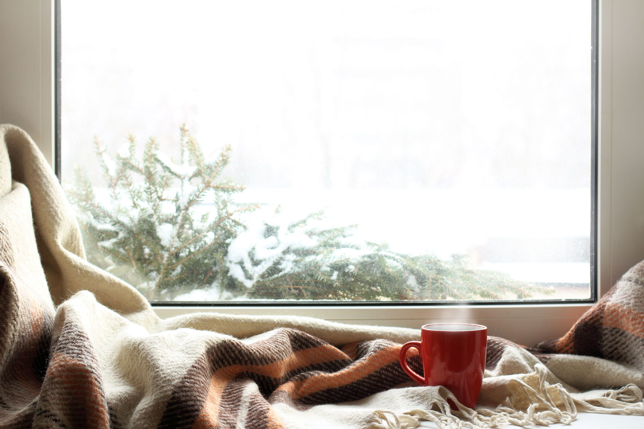 iStock-1033736164full